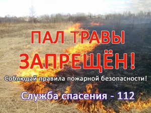 Пал травы запрещен!.