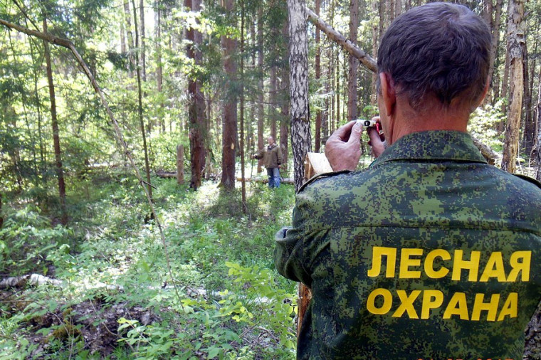 КГКУ "Лесная охрана". КГКУ "Лесная охрана".